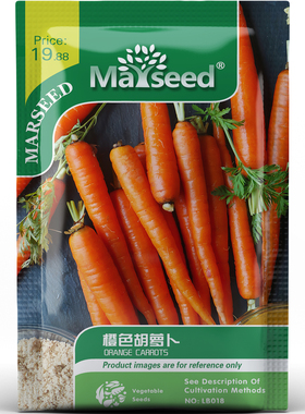 小时候的味道橙色胡萝卜种子种苗脆甜清爽健康家庭盆栽蔬菜B187