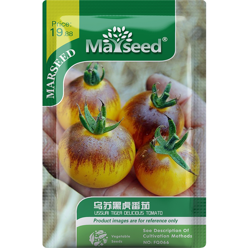 【新品推荐】俄罗斯的传家宝乌苏里虎番茄温和多汁花园种子孑籽苗