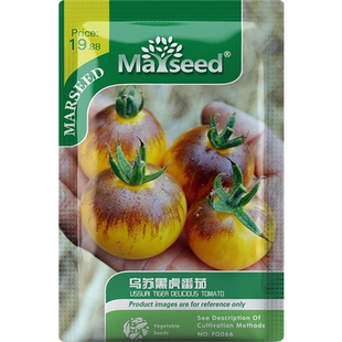 【新品推荐】俄罗斯的传家宝乌苏里虎番茄温和多汁花园种子孑籽苗