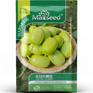 儿时记忆清甜无刺玉女小黄瓜种子种苗减重零食低热量高产蔬菜B195