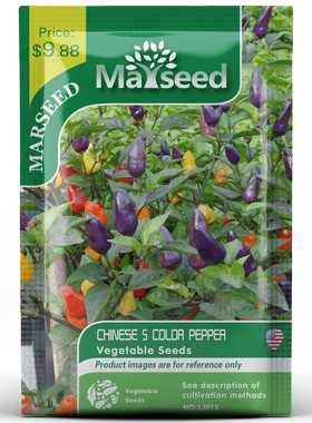 【MARSEED火星家】Five color Pepper 五彩观赏辣椒种子籽孑苗