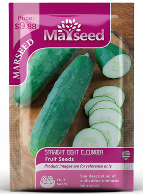 【MARSEED火星家】传家宝Straight Eight直八黄瓜种子籽孑