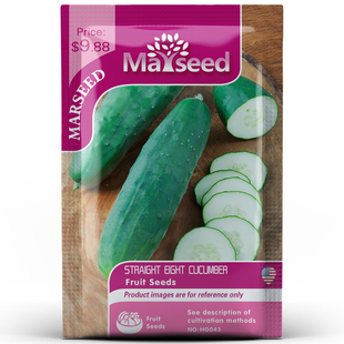 Eight直八黄瓜种子籽孑 传家宝Straight MARSEED火星家