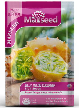 【MARSEED火星家】Jelly Melon 非洲角浆果水果 果冻瓜种子籽孑