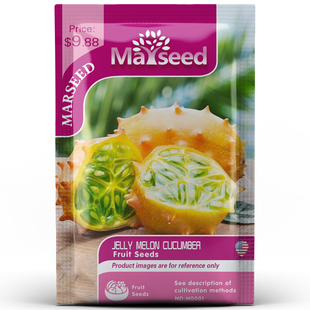 非洲角浆果水果 Melon Jelly 果冻瓜种子籽孑 MARSEED火星家