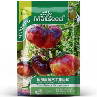 靛蓝系列郁郁葱葱牛排番茄种子