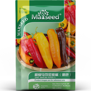 美味混色超级马可尼甜椒口感厚实调味烹饪好蔬菜庭院种子种苗A142