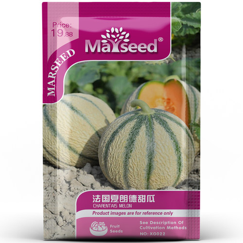 迷你超甜法国夏朗德甜瓜种子