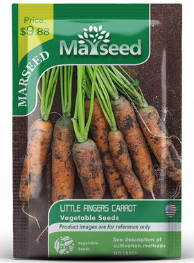 【掌柜推荐】Little Fingers超甜可爱系小手指胡萝卜种子籽孑苗