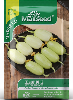 玉女小黄瓜种子种苗翡翠椭圆果脆嫩无涩皮薄爆汁清甜鲜食蔬菜C206