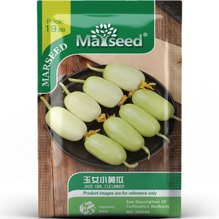 玉女小黄瓜种子种苗翡翠椭圆果脆嫩无涩皮薄爆汁清甜鲜食蔬菜C206