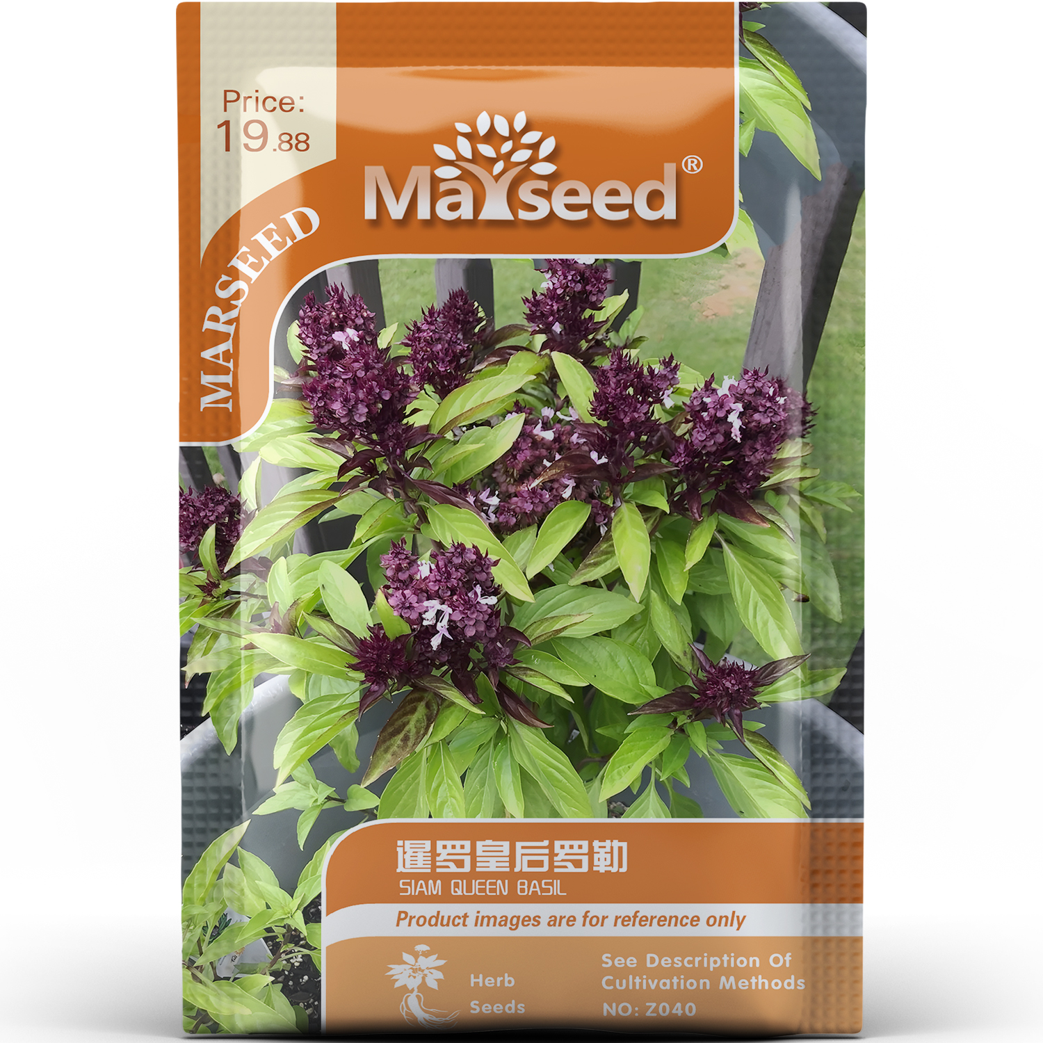 泰国热门稀有品种暹罗皇后罗勒香草浓郁东南亚辛香味种子种苗A159