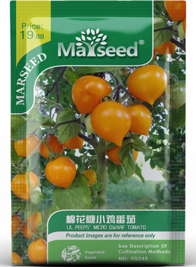 可爱萌趣矮生棉花糖小鸡番茄种子种苗小喙外形酸甜可盆栽蔬菜B001