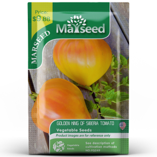 传家宝Golden King西伯利亚金毛之王番茄种子