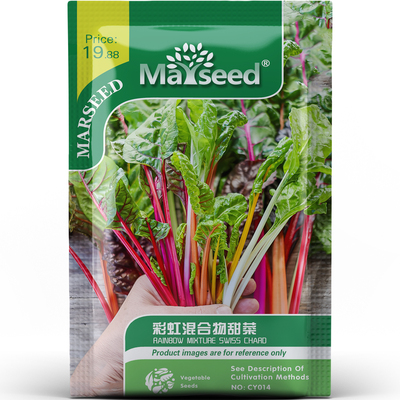 色彩惊喜彩虹混合物甜菜种子种苗生吃烤蒸煮营养新手根茎蔬菜B205