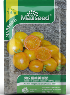 超甜微型虎纹樱桃黄番茄种子种苗盆栽蔬菜爆汁清甜新手友好 B003