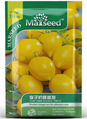 俄罗斯网红品种李子柠檬番茄种子