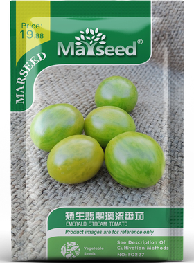 矮生翡翠溪流番茄种子种苗绿纹清甜多汁抗病高产阳台盆栽蔬菜C001