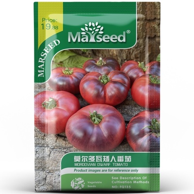 矮生产量高摩尔多瓦牛排番茄种子