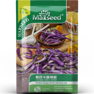 稀有颜值紫色卡宴辣椒果香甜味脆嫩多汁蔬菜庭院地栽种子种苗A146