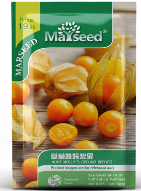 【掌柜推荐】稀有波兰传家宝Aunt Molly’s莫莉姨妈浆果种子籽孑