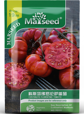 意大利风味科斯塔佛罗伦萨番茄风味浓郁高产蔬菜春秋种子种苗A072