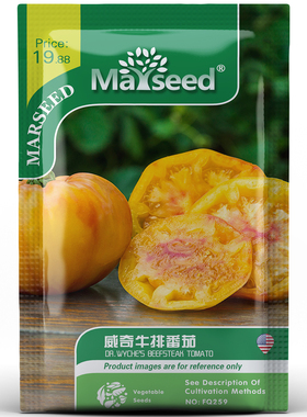 【新品推荐】进口威奇牛排金黄色番茄种子西红柿蔬菜水果高产种籽