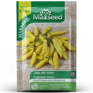 Drop Lemon 英国好吃滴水果香味柠檬滴辣椒种子籽孑 官网高分