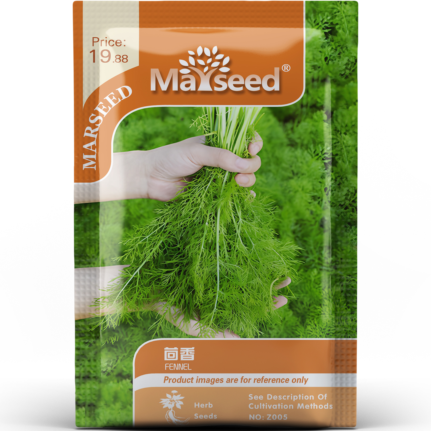 可调味叶片鲜嫩茴香双用型好香草家庭厨房常备易种植种子种苗A150