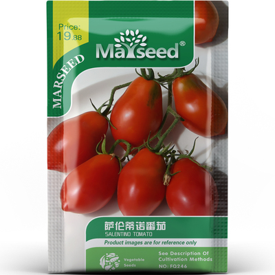 萨伦蒂诺番茄种子种苗无限生长高产清甜椭圆果蔬菜园阳台盆栽C011