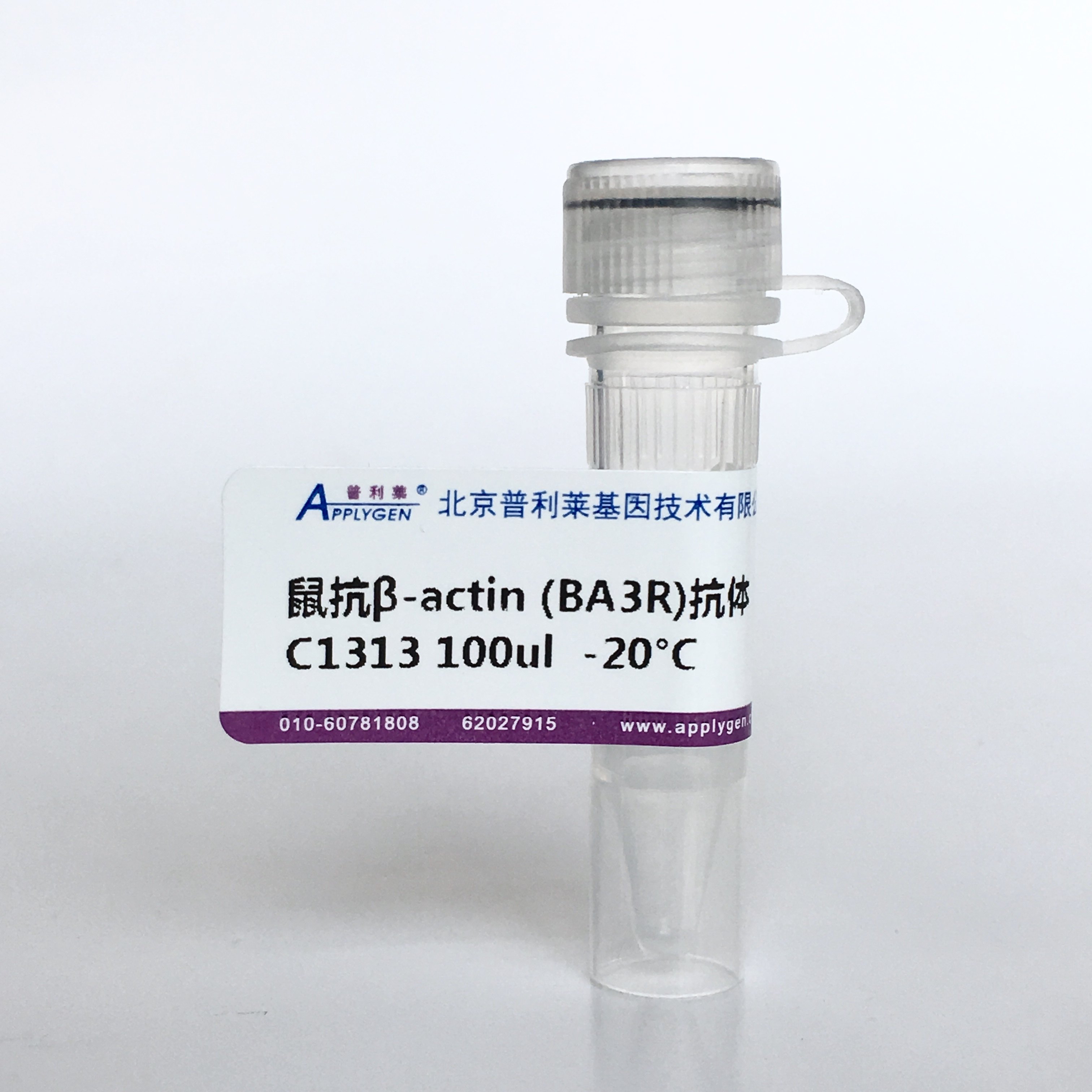 普利莱 鼠抗β-actin单克隆抗体 (ba3r)(进口分装)100μl 250μl
