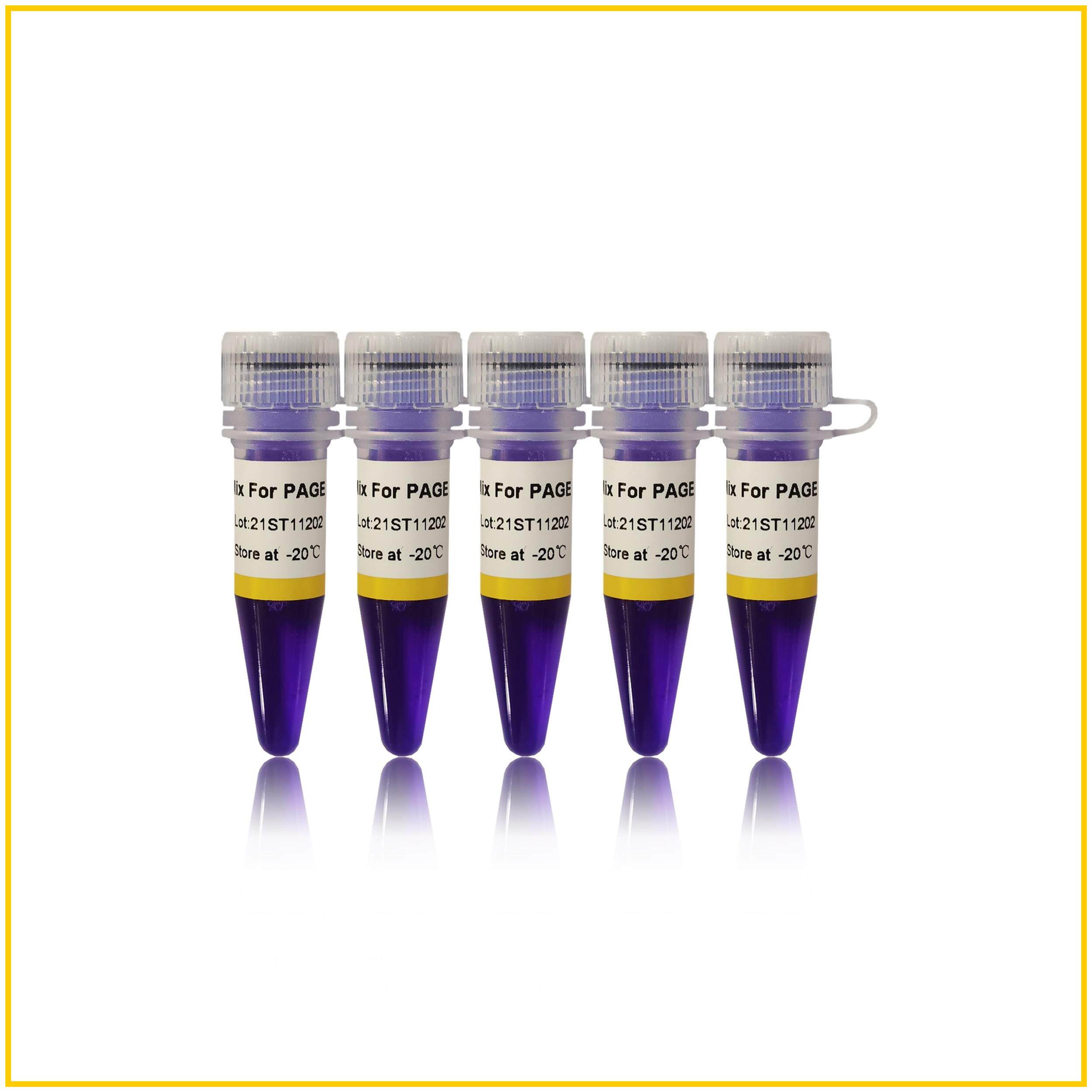 5mL高纯度Taq DNA聚合酶PCR预混液Taq PCR Mix For PAGE(ST112)