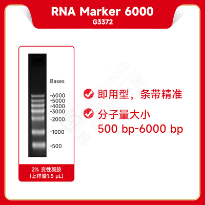 Servicebio/赛维尔 RNA Marker 6000 7条RNA单链组成