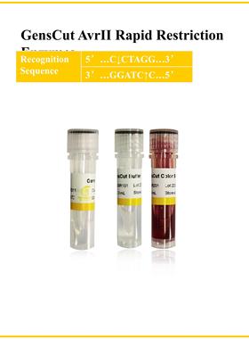 快速限制性内切酶 核酸内切酶 GensCut AvrII (GSR003)