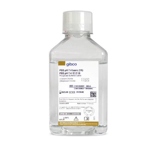 Gibco 国产PBS（不含钙镁，不含酚红）C10010500BT 500ml/瓶