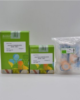 coolaber酷来博 拟南芥原生质体制备及转化试剂盒（10 mL/T）
