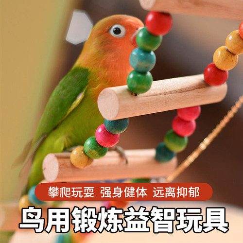 小鸟玩具鸟活体彩色珠子秋千云梯爬梯子虎皮牡丹鸟笼配件鸟用品