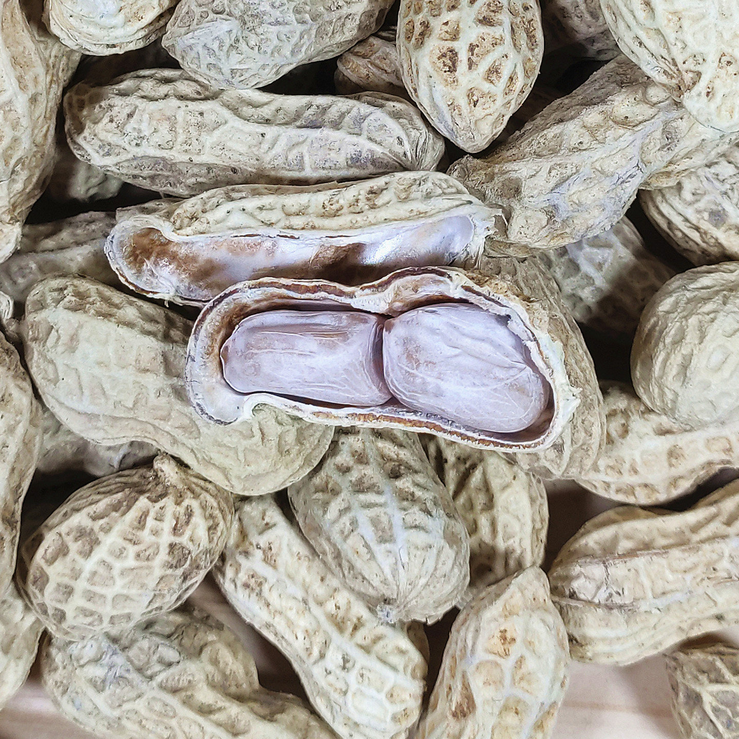 正宗农家水煮花生新果白晒花生原味福建特产学生宿舍解馋小吃零食