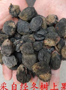 野生毛桃核东南枝树上摘果真正的桃枭原皮恋枝桃桃奴正月桃枭正宗