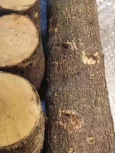 老真桃木东南树枝条干粗棒棍发簪子原乔迁新居搬家桃木料头跨火盆