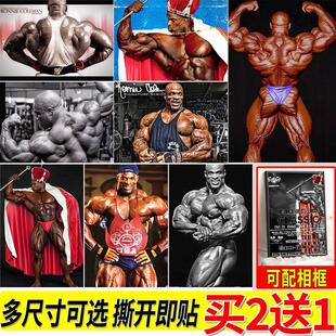 罗尼库尔曼海报励志大尺寸自粘壁纸房间墙上贴画健身房墙贴挂画