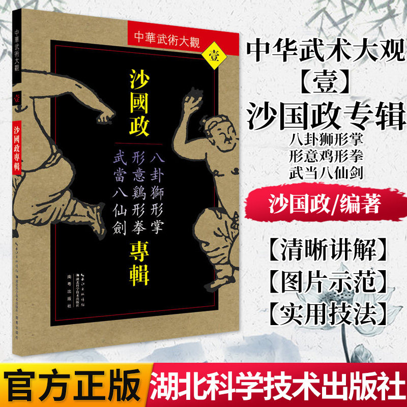 正版书籍 沙国政专辑-八卦狮形掌、形意鸡形拳、武当八仙剑 湖北科学技术出版社 9787535285904