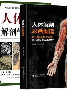 2本人体解剖彩色图谱 丁自海郑雪峰人体解剖彩色学图谱临床人体解剖学教材奈特人体解剖学参考书系统解剖学图谱附赠3D视频教学课程