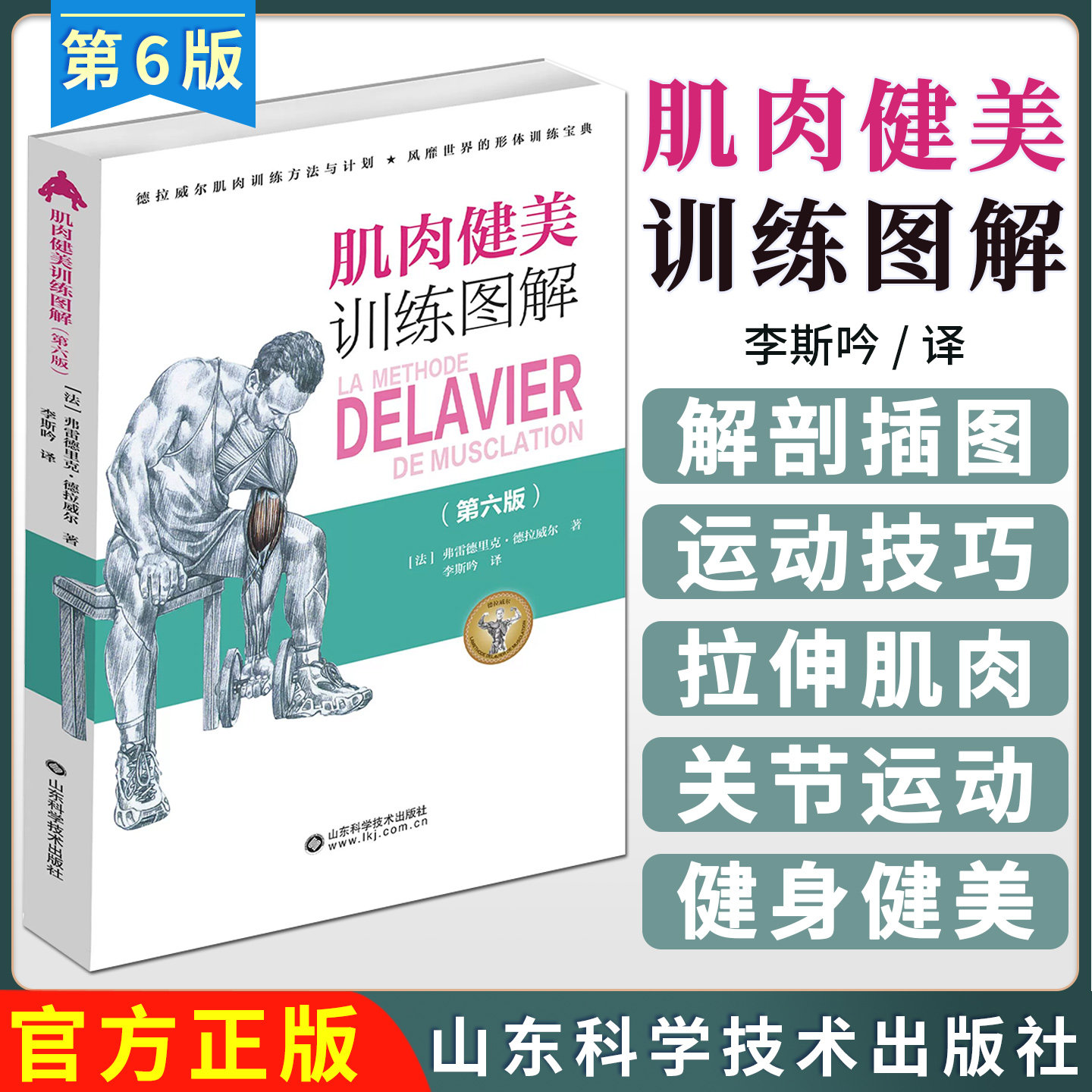 肌肉健美训练图解（第六版）弗雷德里克·德拉威尔 李斯吟 人体臂部肩部胸部背部下肢臀部腹部训练方法配人体解剖插图运动技巧拉伸