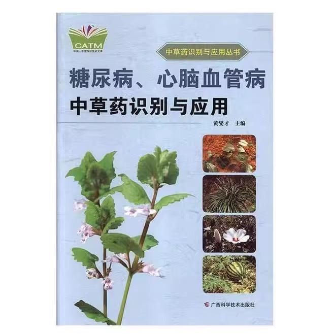 糖尿病、心脑血管病中草药识别与应用 中草药识别与应用丛书(中国-东盟传统医药文库)黄燮才 9787555107323 广西科学技术出版社