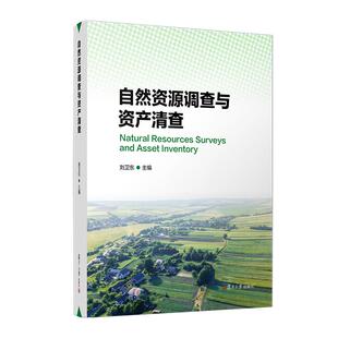 自然资源调查与资产清查 刘卫东 复旦大学出版社9787309173758