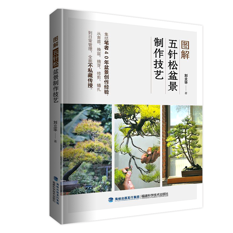 图解五针松盆景制作技艺 刘立华 盆景育苗换盆摘芽修剪蟠扎 日常管理盆景制作赏析福建科学技术出版社9787533565589