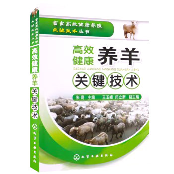 畜禽高效健康养殖关键技术丛书--高效健康养羊关键技术 朱奇  化学工业出版社9787122083531