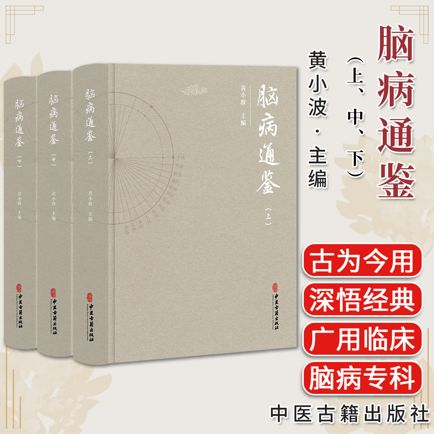 脑病通鉴(上、中、下)黄小波 脑髓病证眩晕痴呆痿证脑神病证痫病不寐中医名家临床经验9787515222325中医古籍出版社
