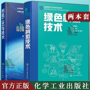 工程技术人员参考 2本制氢工艺与技术 绿色制氢技术 制氢技术书籍 零CO2排放制氢技术方法制氢工艺可供从事能源研究